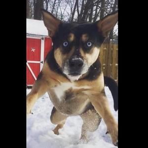 Meet your Posher, Jan